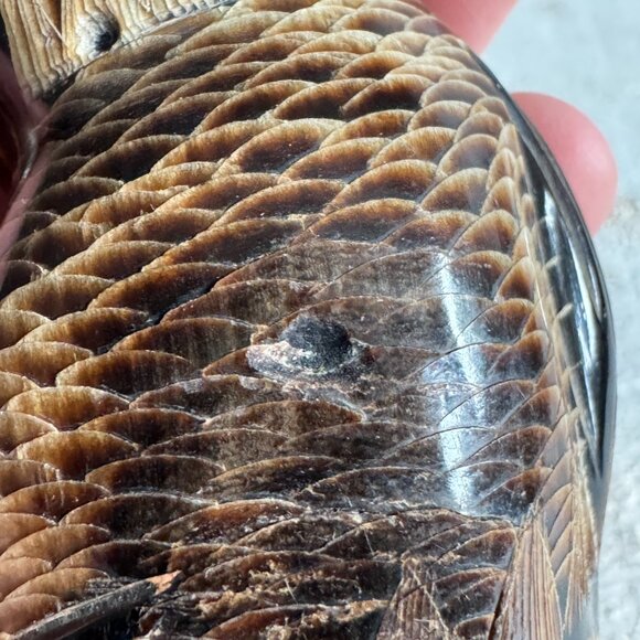 Carved Fish Decor - Made in Thailand - Picture 10 of 10